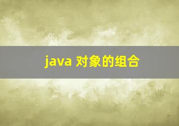 java 对象的组合